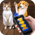 我的猫猫狗狗翻译器下载最新版_我的猫猫狗狗翻译器app免费下载安装