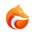 灵狐浏览器安卓版app下载_灵狐浏览器安卓版app最新版免费下载
