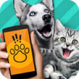 动物语言翻译器最新版app下载_动物语言翻译器最新版app最新版免费下载