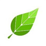 绿叶加速器app下载_绿叶加速器app最新版免费下载