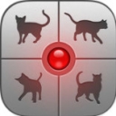 人猫交流器app下载_人猫交流器app最新版免费下载