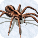 蜘蛛模拟器手游下载_蜘蛛模拟器手游最新版免费下载