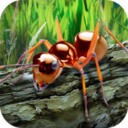 蚂蚁生存模拟器手游下载_蚂蚁生存模拟器手游最新版免费下载