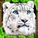 雪豹模拟手游下载_雪豹模拟手游最新版免费下载