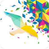 一个奇鸽app下载_一个奇鸽app最新版免费下载