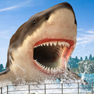 鲨鱼猎人2022最新版手游下载_鲨鱼猎人2022最新版手游最新版免费下载